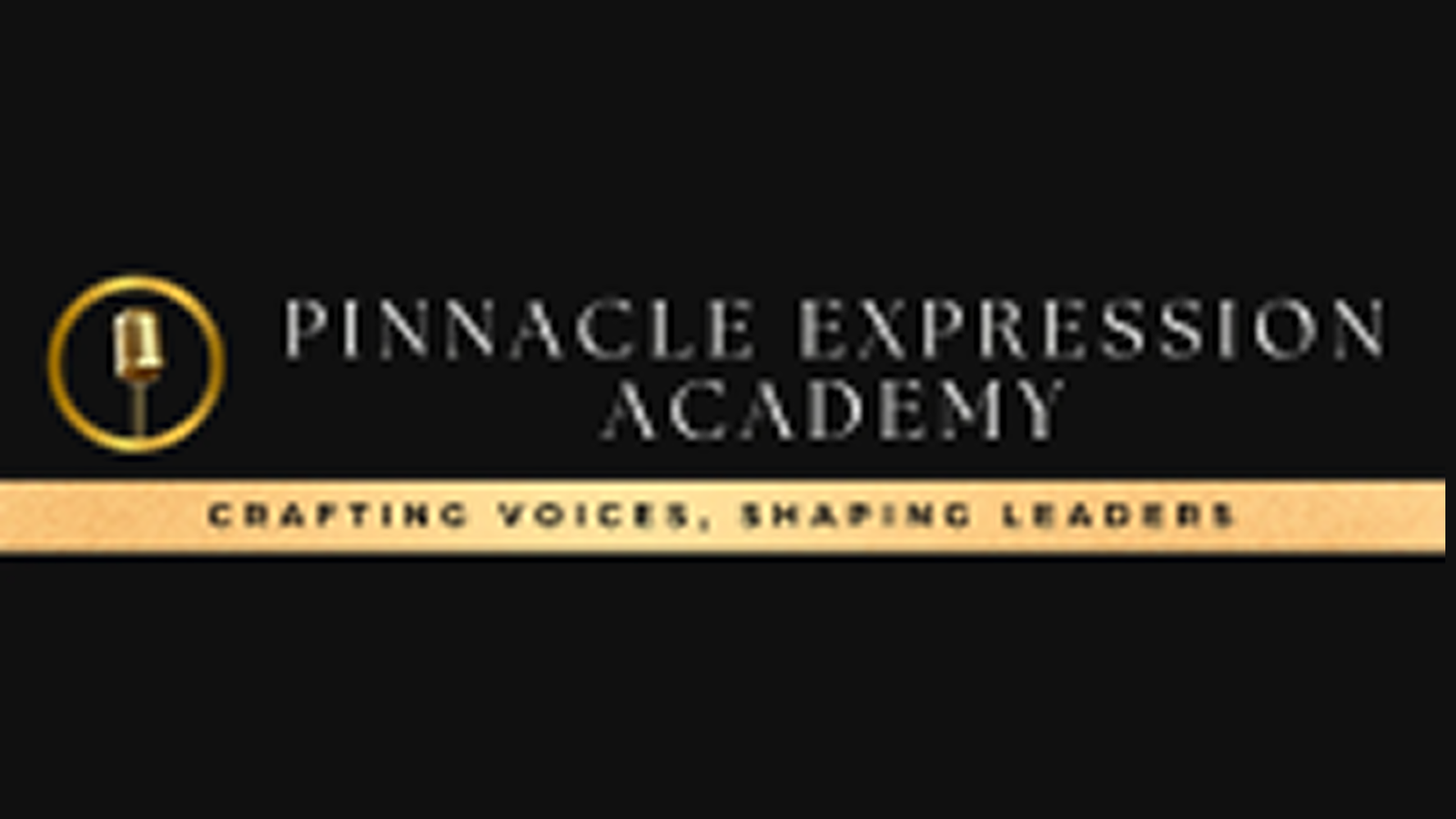 Pinnacle expression academy logo